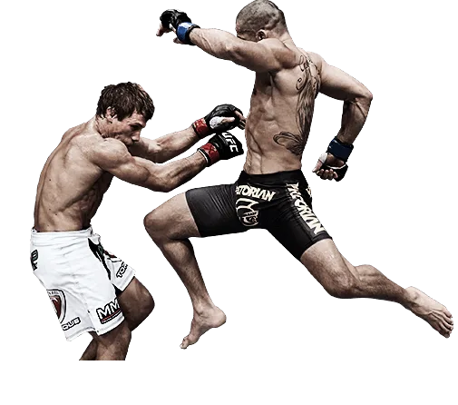 UFC dövüşçüsü