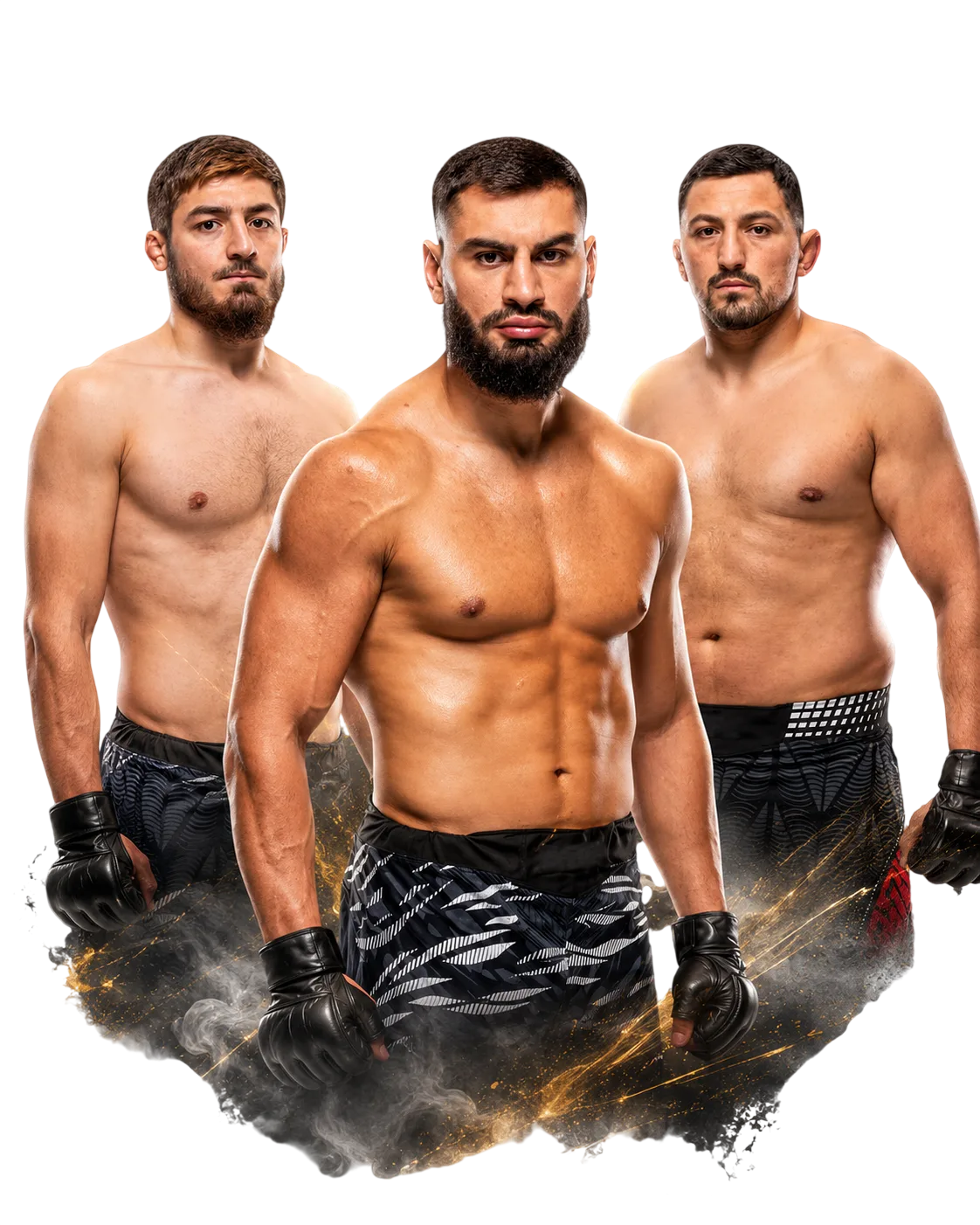 UFC'deki Türk dövüşçüler